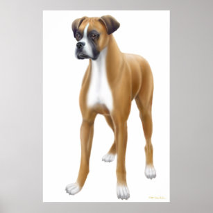 The Boxer Dog Print