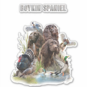 The Boykin Spaniel
