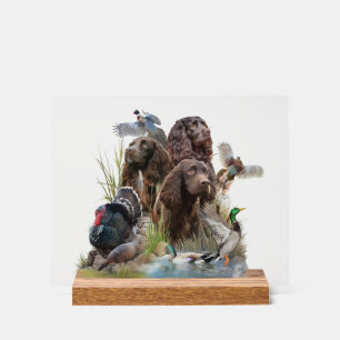 The Boykin Spaniel Acrylic Sign