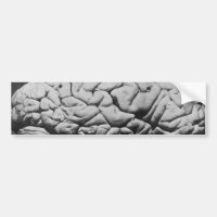 THE BRAIN OF CHARLES BABBAGE (1909)