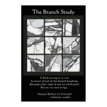 The Branch Study Poster