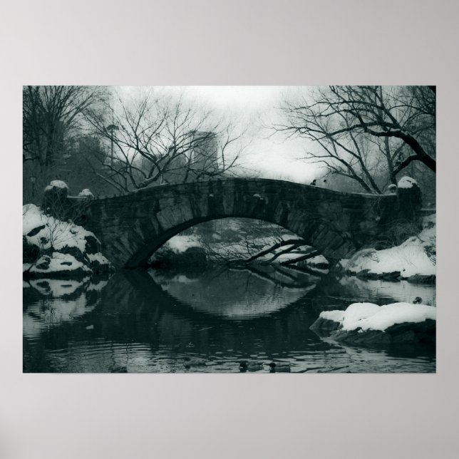 The Bridge in Central Park Poster (Front)