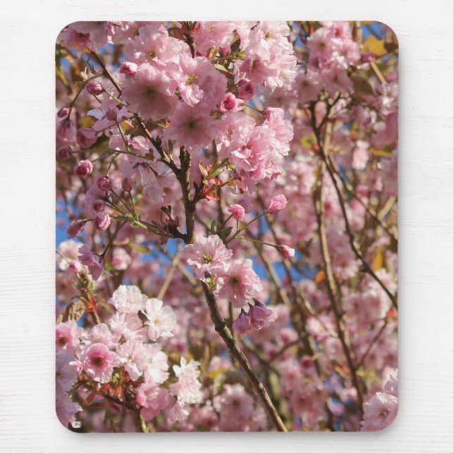 The bright Spring color of cherry blossom Mouse Pad (Front)