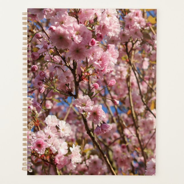 The bright Spring color of cherry blossom Planner (Front)