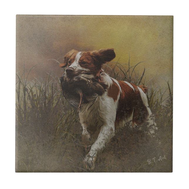 The Brittany spaniel    Ceramic Tile (Front)