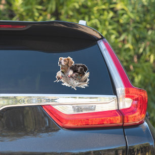 The Brittany Spaniels,  French Brittany, Bird dog,