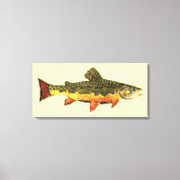 The Brook Trout