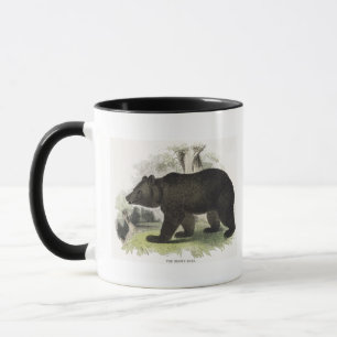 The Brown Bear, educational illustration pub. by t Mug