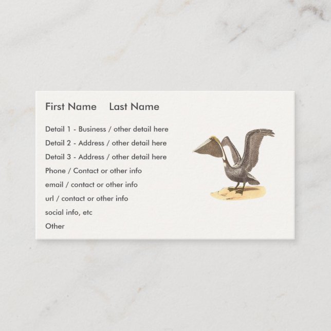 The Brown Pelican (Pelecanus occidentalis) NY Bird Business Card (Front)