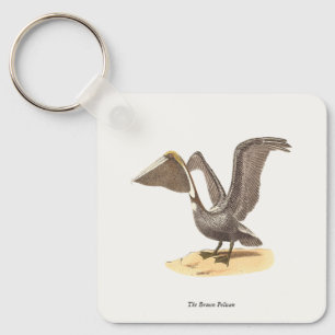 The Brown Pelican (Pelecanus occidentalis) NY Bird Key Ring