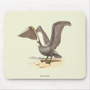 The Brown Pelican (Pelecanus occidentalis) NY Bird Mouse Pad