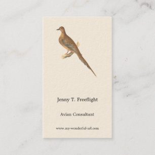 The Brown Thrush or Brown Thrasher, New York Birds Business Card