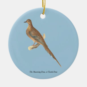 The Brown Thrush or Brown Thrasher, New York Birds Ceramic Tree Decoration