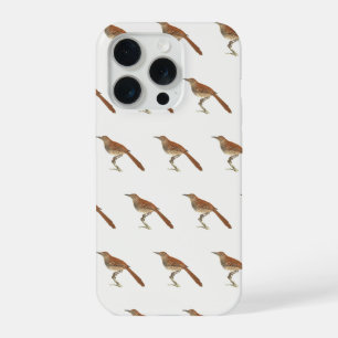 The Brown Thrush or Brown Thrasher, New York Birds iPhone 15 Pro Case