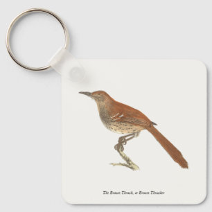 The Brown Thrush or Brown Thrasher, New York Birds Key Ring