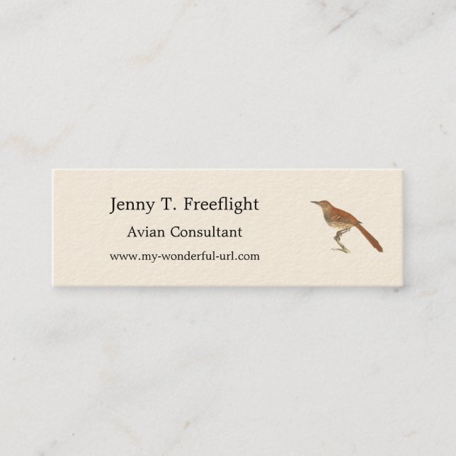 The Brown Thrush or Brown Thrasher, New York Birds Mini Business Card (Front)