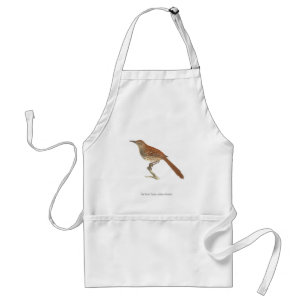 The Brown Thrush or Brown Thrasher, New York Birds Standard Apron