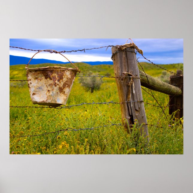 The Bucket Poster (Front)