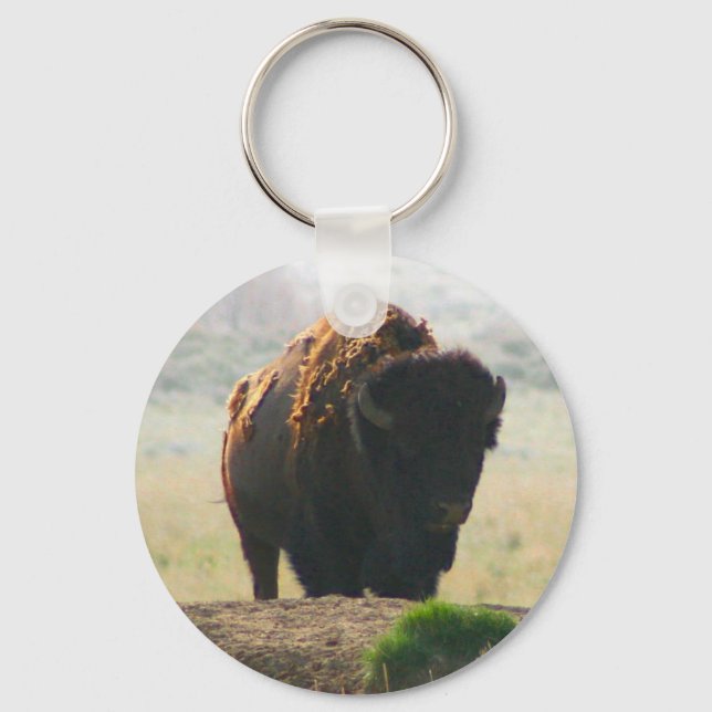 The Buffalo Collection II Key Ring (Front)