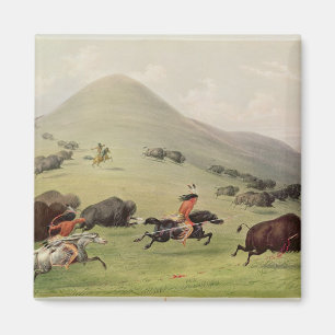 The Buffalo Hunt, c.1832 Magnet