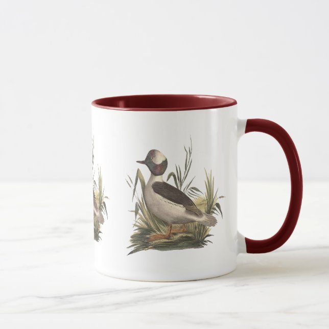 The Buffle-headed Duck	(Fuligula albeola) Mug (Right)