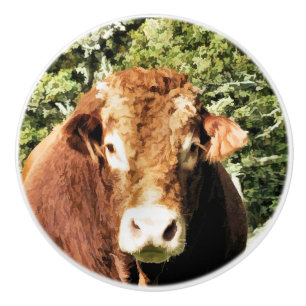 THE BULL CERAMIC KNOB