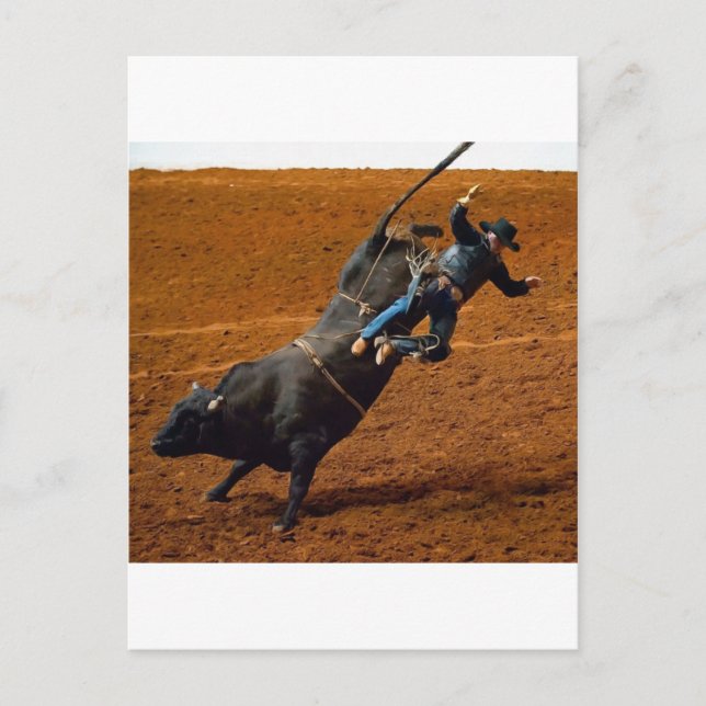 The Bull Rider Postcard (Front)