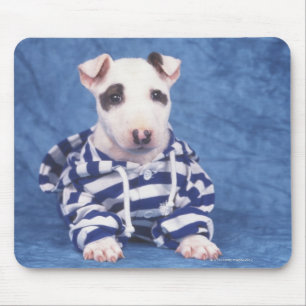The Bull Terrier is a breed of dog in the Mouse Pad