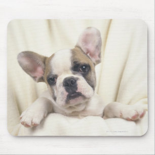 The Bulldog, often called the English Bulldog, 2 Mouse Pad
