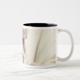 The Bulldog, often called the English Bulldog, 2 Two-Tone Coffee Mug