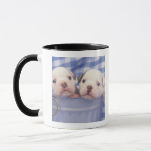 The Bulldog, often called the English Bulldog, Mug