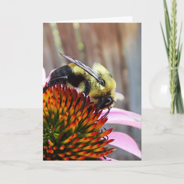 The Bumble Bee Card (Front)