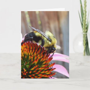 The Bumble Bee Card