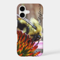 The Bumblebee