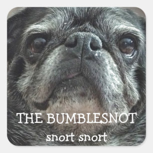 The Bumblesnot "snort snort" stickers