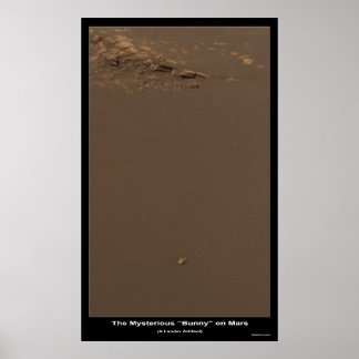 The Bunny On Mars – What is it? Poster