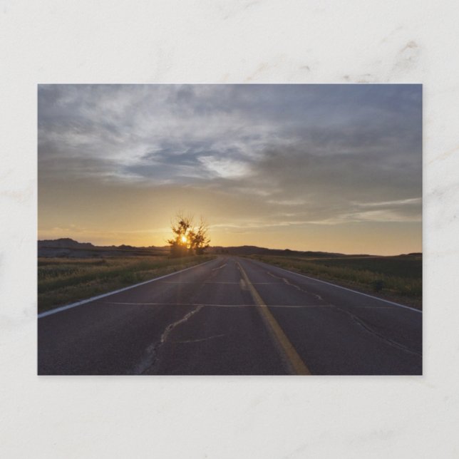 The Burning Bush Postcard (Front)