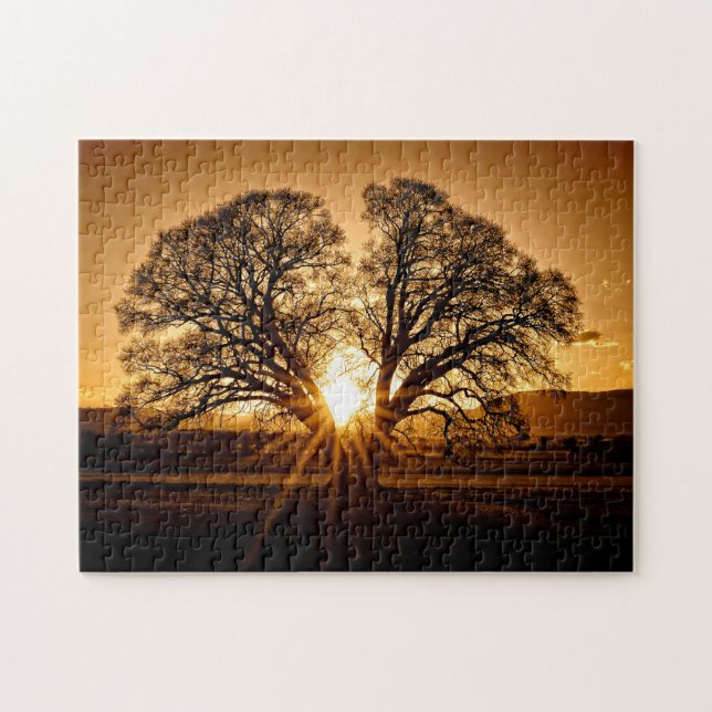 The Burst of Sunset - 11x14 - 252 pcs. Jigsaw Puzzle (Horizontal)