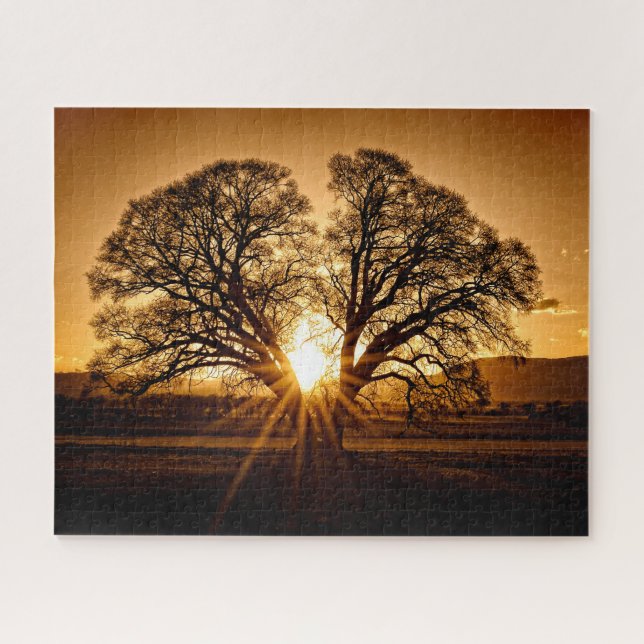 The Burst of Sunset - 16x20 - 520 pcs Jigsaw Puzzle (Horizontal)