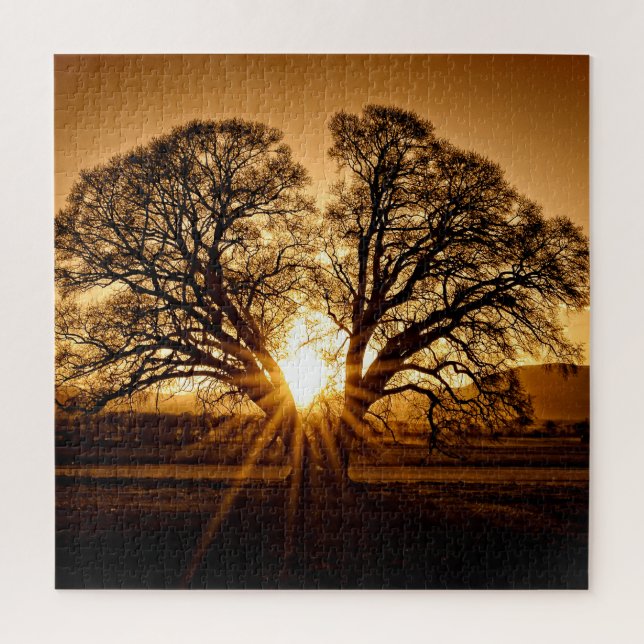 The Burst of Sunset - 20x20 - 676 pcs. Jigsaw Puzzle (Vertical)