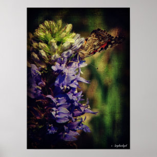 The Butterfly and Purple Flowers Poster