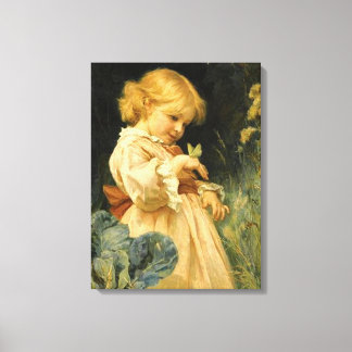 The Butterfly Canvas Print