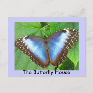 The Butterfly House Postcard
