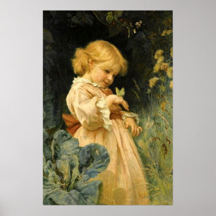 The Butterfly Poster