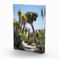The Cactus Garden Balboa Park