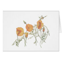 The California Poppy 5" x 7" card, with envelope