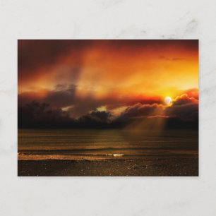 The Calming - Postcard