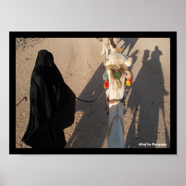 The Camel Walk Poster (Front)