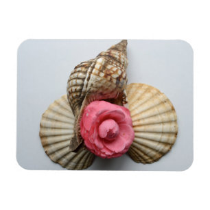 The Camellia And The Shells Magnet