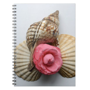 The Camellia And The Shells Notebook